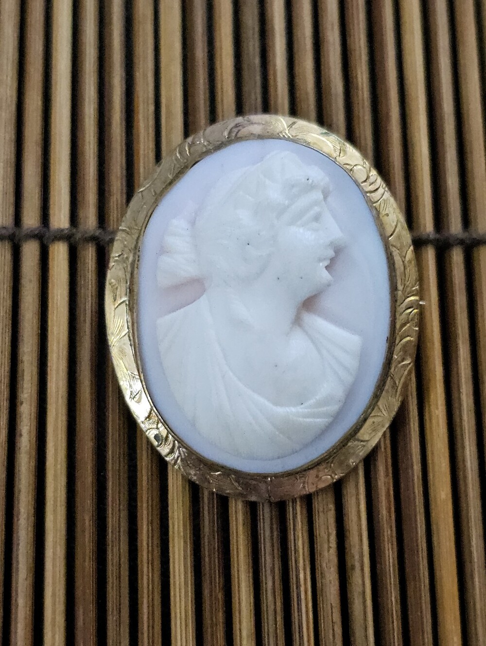 14k Cameo Yellow Gold Brooch (Vintage)